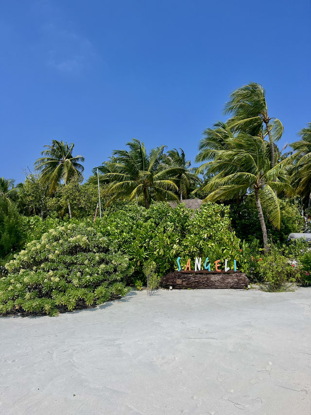 A Dreamy Escape in the Maldives!