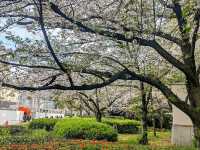 Tennoji Park (天王寺公園) – A Green Oasis in the City