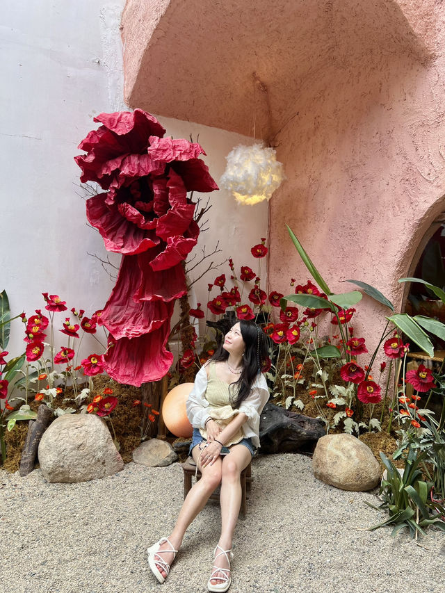 🇻🇳친구야 사진찍어줘📸 사진핫플 나트랑카페