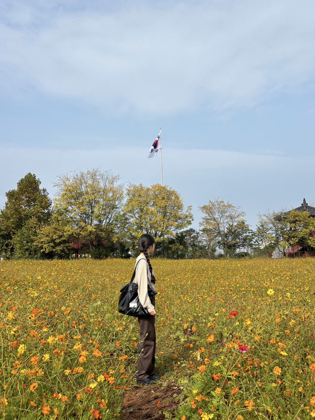 곡성