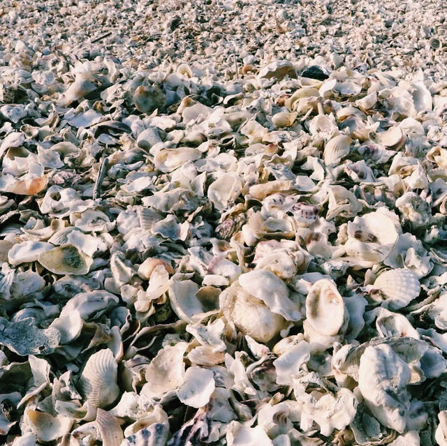海に浮かぶ幻想的な鳥居⛩️🌊 干潮時には歩いて渡れる！