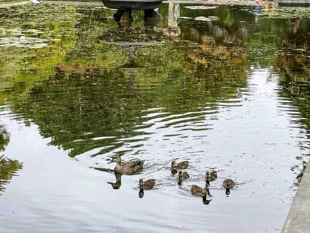 Mona Vale Garden Park，基督城內小巧精緻的古典花園