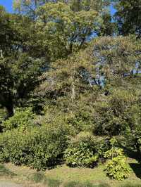 東京植物的夢幻之旅：探索清澄庭園與新宿御苑 🌷🌳