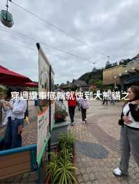 🐼💖【海洋公園雙胞胎熊貓BB全攻略】家姐萌到犯規！細佬招牌「熊貓癱」攻陷全港姨母心💖🐼  