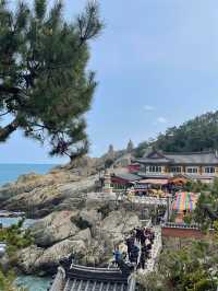 부산 기장에서 만난 바다가 보이는 절, 해동 용궁사