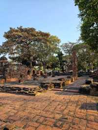 วัดมหาธาตุ – วัดโบราณที่สะท้อนความรุ่งเรือง