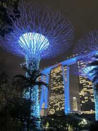 Gardens by the Bay 🌳สวนสุดอลังการในสิงคโปร์