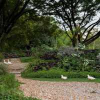 Moyard Khaoyai • Khaoyai, Nakhon Ratchasima 