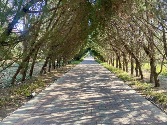 💕洛陽世外桃源✨隋唐城遺址植物園🌳