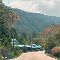 คาเฟ่เปิดใหม่ชลบุรี Shush เหมือนไปเขาใหญ่ 