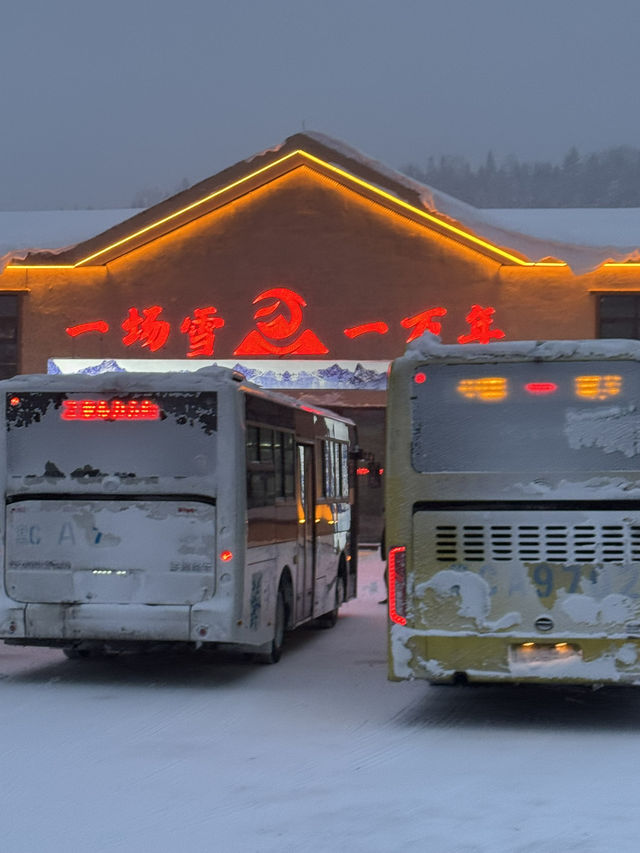 🇨🇳哈爾濱雪鄉必去蘑菇🍄‍🟫屋打卡位🔥🔥🔥