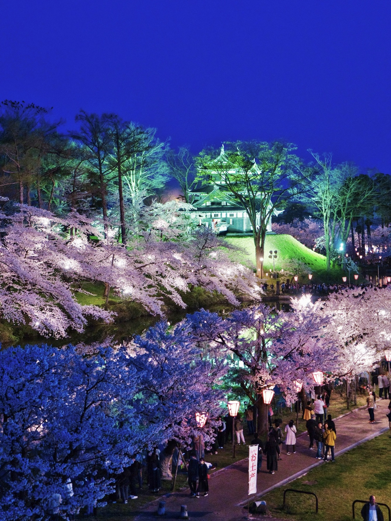 新潟】行かなきゃ損‼️日本三大夜桜の1つ✨夜桜が水面に浮かぶ幻想