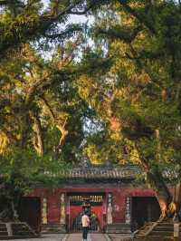 Cat Temple Mianyang