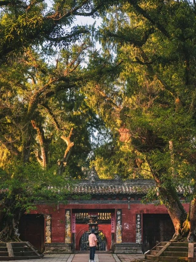 Cat Temple Mianyang