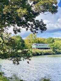Spring at Onuma Park: The Perfect Cycling Spot