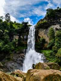 SpringWander For Srilanka 