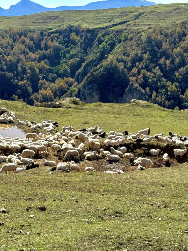 🚗 Weekend Road Trip to Yu County, Hebei (2.5h from Beijing)!