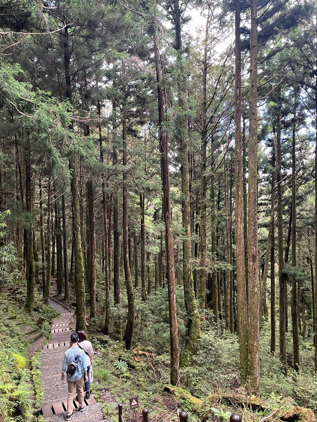 台灣宜蘭/太平山懷舊蹦蹦車🚂🚂