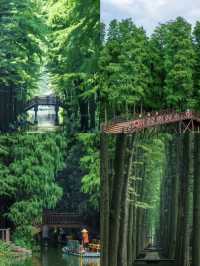 Discover Xinghua: A Hidden Gem in Jiangsu Province 🌾