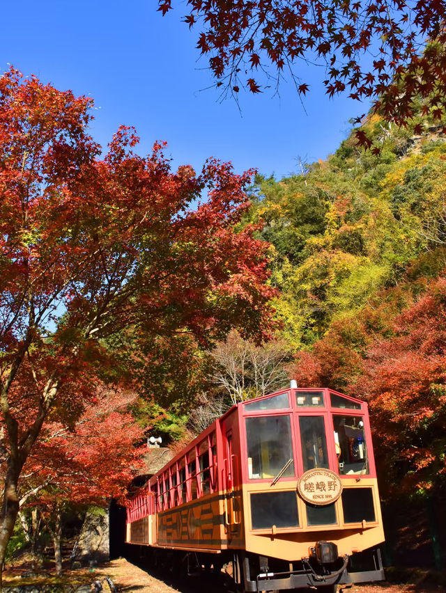 こちらは関西を満喫するための6つのルートです！