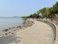 🧎沉浸在綠意與海濱風光中🌟深圳灣公園🌳