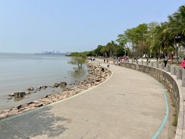 🧎沉浸在綠意與海濱風光中🌟深圳灣公園🌳