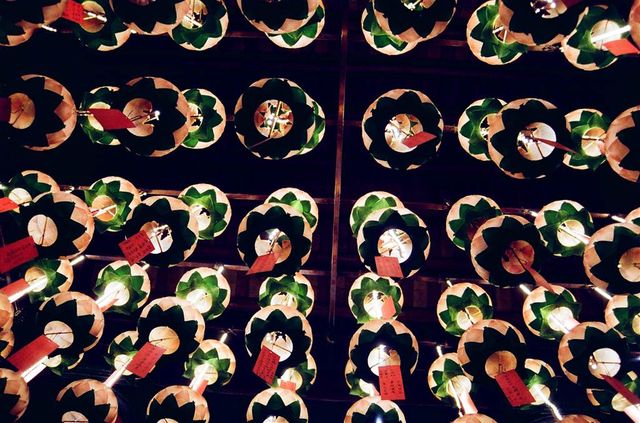 Lotus Vibes at the Shui Yuet Palace in Mong Kok