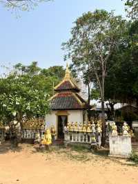 🙏🏼พาไปชมวันโนนม่วง จ.ชัยภูมิ