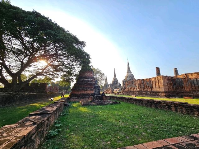 วัดพระศรีสรรเพชญ์