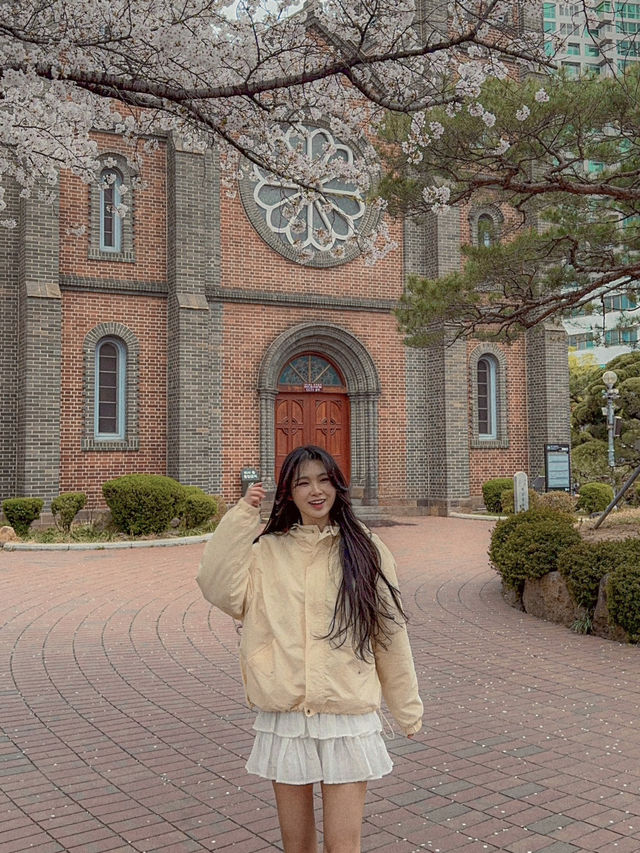 폭싹 속았수다 드라마 촬영지에서 느껴보는 봄