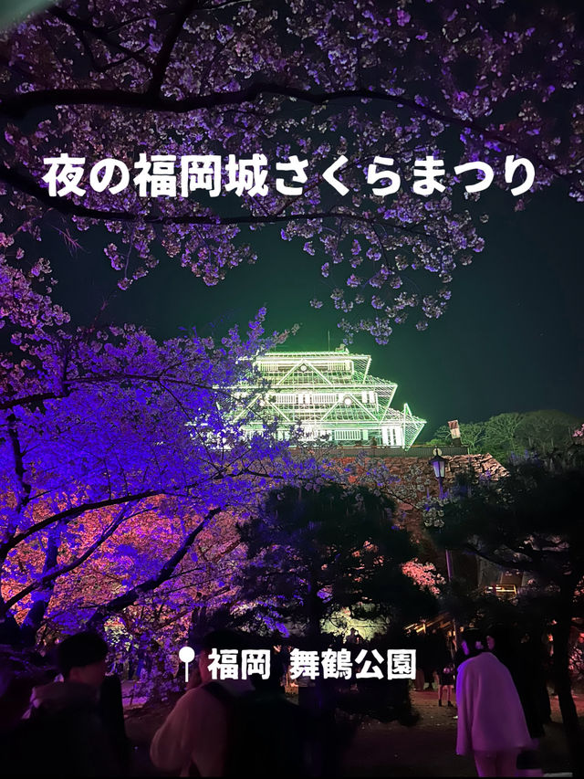【福岡】幻想的な夜の福岡城さくらまつり🏯