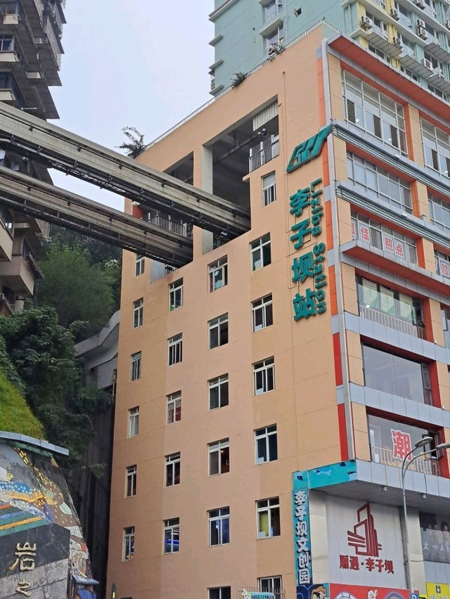 충칭 3박 4일 여행, 다채로운 매력을 만끽하다