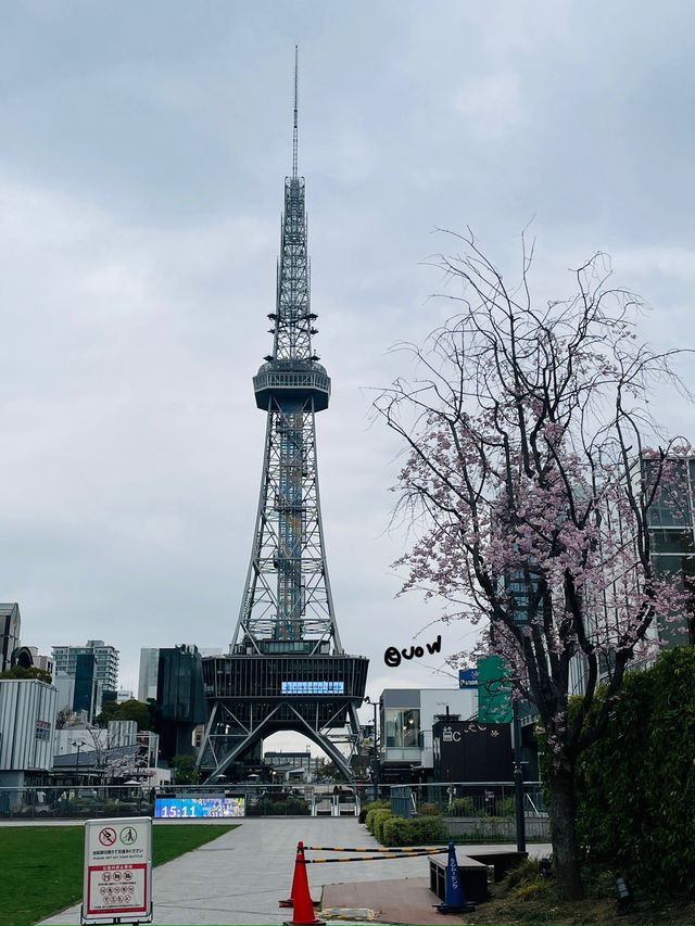 나고야 오도리공원 & 미라이타워 산책 리뷰 🌿🗼