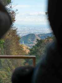 絶景と神聖が交わる登山道！神奈川・大山へ紅葉ハイク🍁⛰️
