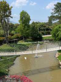 Mitra.khaoyai คาเฟ่เขาใหญ่ไวป์ดี ฮีลใจ เงียบสงบ 🦢