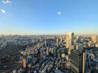 Day and Night Magic: Roppongi Hills View is Worth It!
