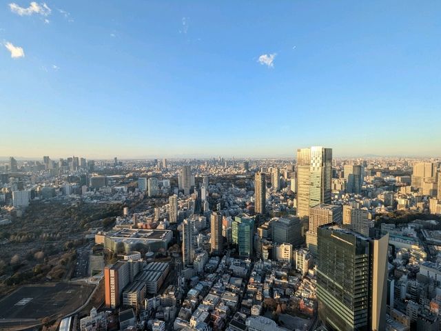 Day and Night Magic: Roppongi Hills View is Worth It!