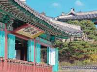 🌿 수원에서 만나는 역사와 힙한 피크닉, 하루 만에 다 즐기기