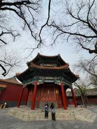 Discover Forbidden City