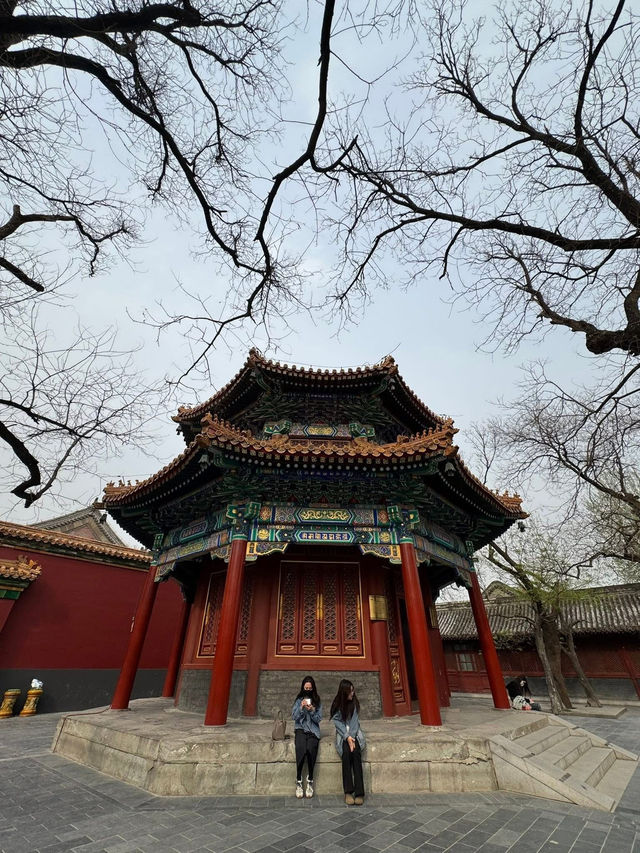 Discover Forbidden City