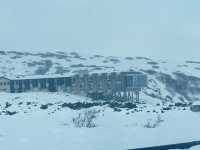 Aurora Dreams: An Icelandic Escape Chasing the light