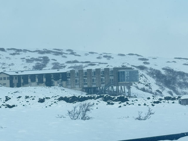 Aurora Dreams: An Icelandic Escape Chasing the light
