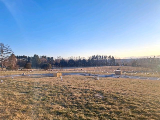 北海道旅遊🥳十勝之丘公園🔔音更花時計🕐欣賞日落風景🌅