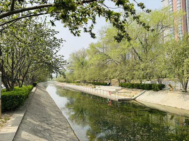 The Commuter's Sanctuary: Finding Zen in Wangjing's Urban Waterfront
