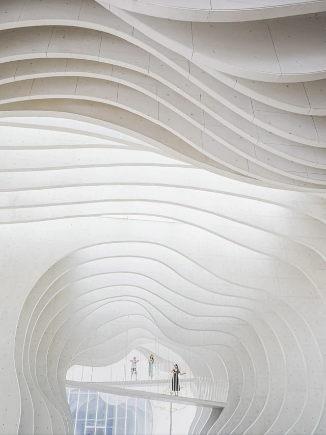 Hidden Gem in Southern Anhui | My Favorite Museum Ever!