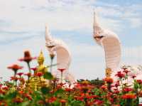 วัดสระบานสนวน