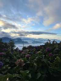 Between Heaven and Earth