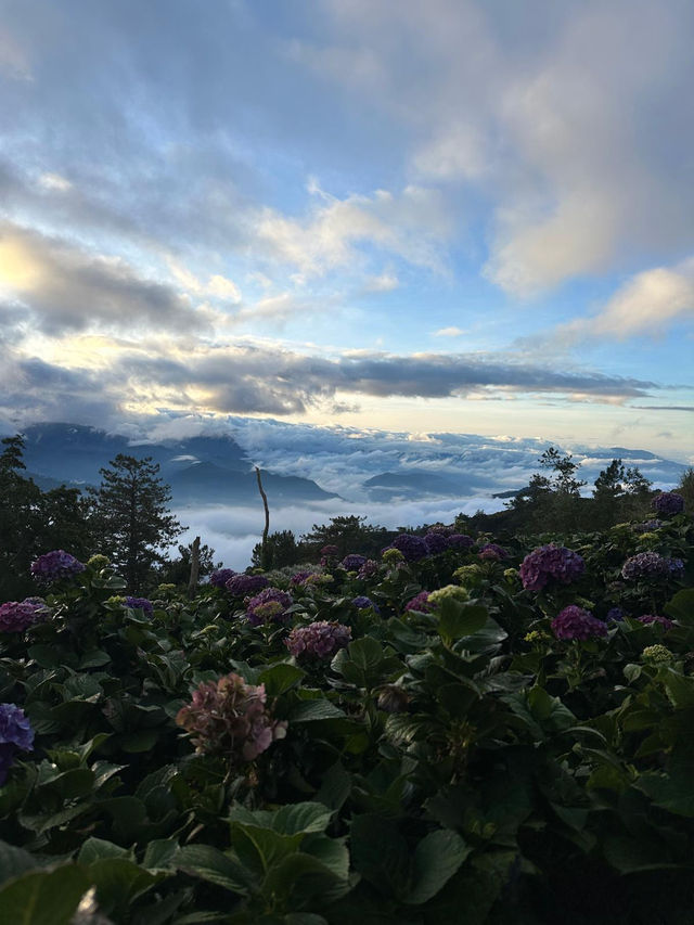 Between Heaven and Earth