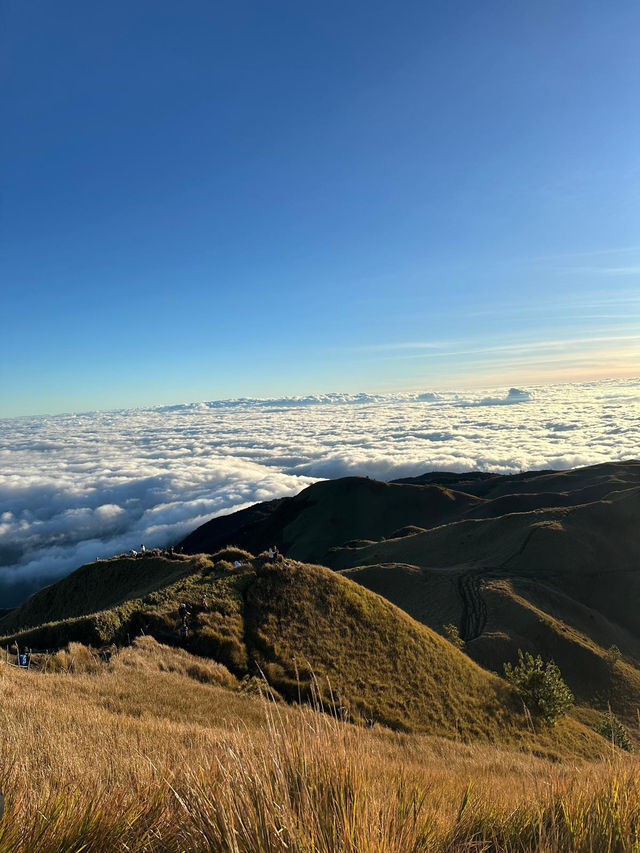 Sea of Clouds in the Morning Light