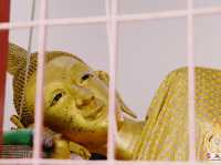 วัดปากน้ำ อัมพวา